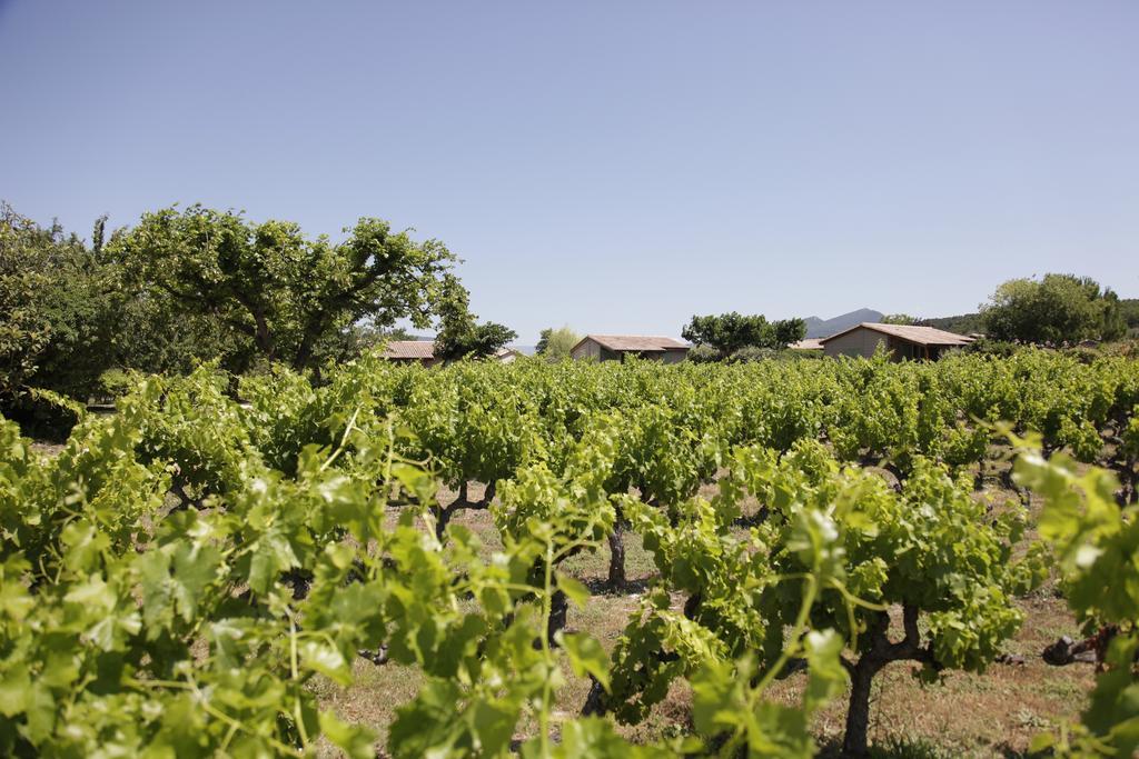 Domaine Des Bridoux Village De Gites Mirabel-aux-Baronnies Exterior photo